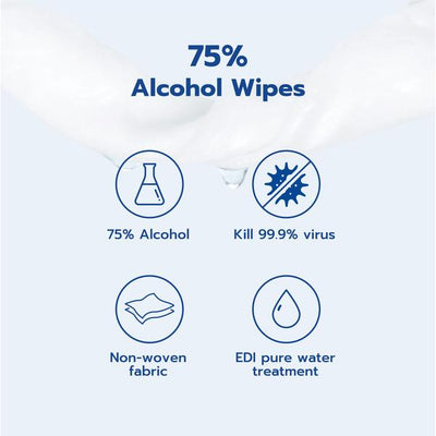 75% Alcohol Wipes 50s (individual packs)